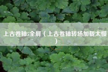 上古卷轴5全屏（上古卷轴转场加载太慢）