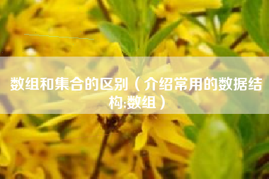 数组和集合的区别（介绍常用的数据结构:数组）