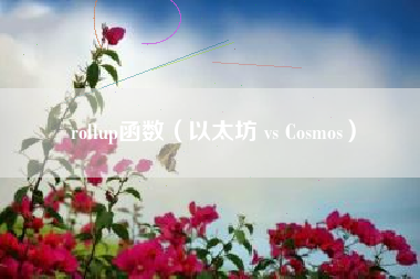 rollup函数（以太坊 vs Cosmos）