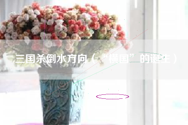 三国杀倒水方向（“横国”的诞生）