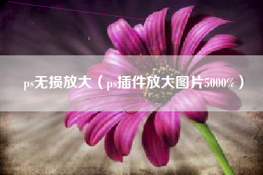 ps无损放大（ps插件放大图片5000%）