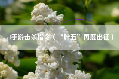 cf手游击杀指令（“胖五”再度出征）