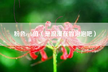 粉色rgb值（是浪漫在冒泡泡吧）