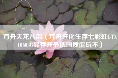 方舟天龙八部（方舟进化生存七彩虹GTX10603G显存开最低画质能玩不）