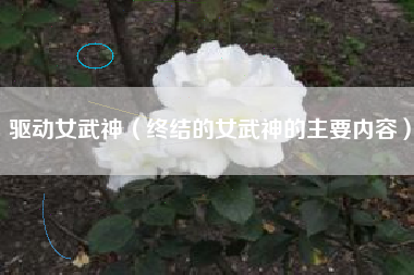 驱动女武神（终结的女武神的主要内容）