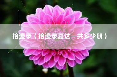 拾遗录（拾遗录夏达一共多少册）