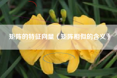 矩阵的特征向量（矩阵相似的含义）