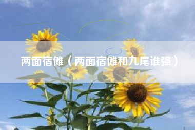 两面宿傩（两面宿傩和九尾谁强）