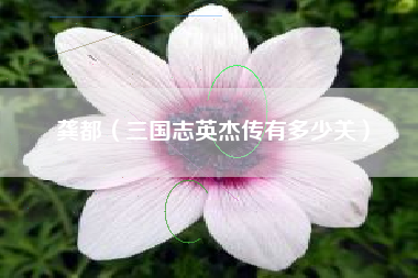龚都（三国志英杰传有多少关）