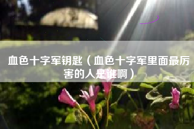 血色十字军钥匙（血色十字军里面最厉害的人是谁啊）