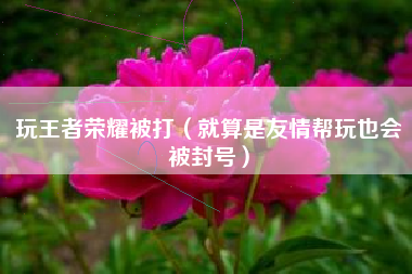 玩王者荣耀被打（就算是友情帮玩也会被封号）