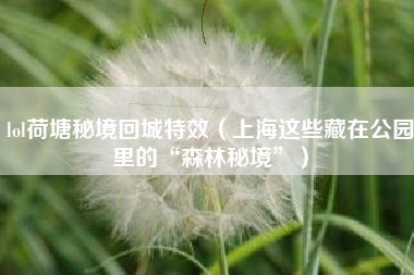 lol荷塘秘境回城特效（上海这些藏在公园里的“森林秘境”）