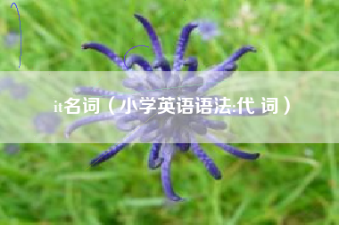 it名词（小学英语语法:代 词）