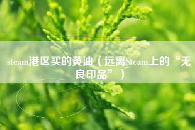 steam港区买的黄油（远离Steam上的“无良印品”）