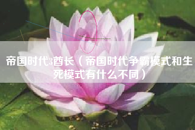 帝国时代3酋长（帝国时代争霸模式和生死模式有什么不同）