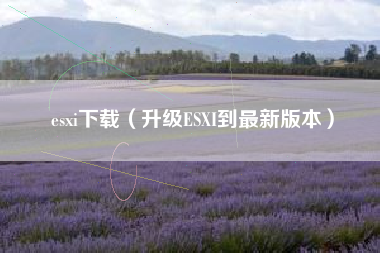 esxi下载（升级ESXI到最新版本）