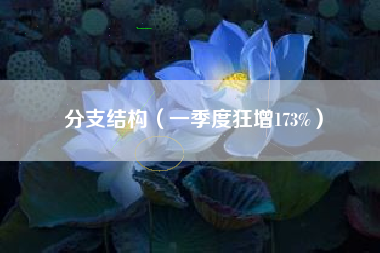 分支结构（一季度狂增173%）
