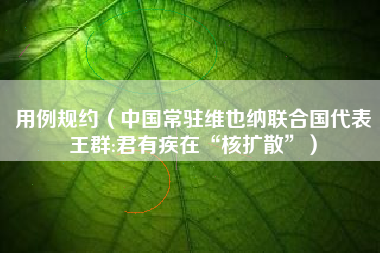 用例规约（中国常驻维也纳联合国代表王群:君有疾在“核扩散”）
