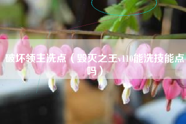 破坏领主洗点（毁灭之王v110能洗技能点吗）