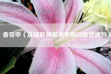 春哥甲（英雄联盟复活甲期间能惩戒吗）