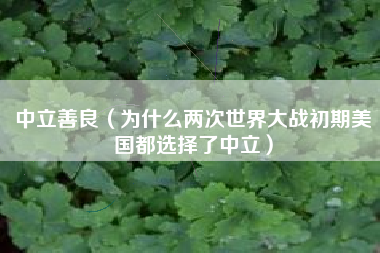 中立善良（为什么两次世界大战初期美国都选择了中立）