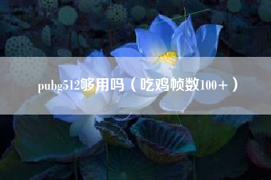 pubg512够用吗（吃鸡帧数100+）