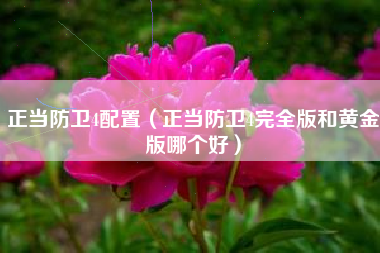 正当防卫4配置（正当防卫4完全版和黄金版哪个好）