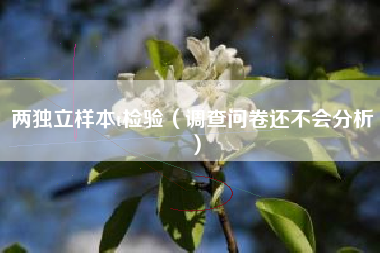两独立样本t检验（调查问卷还不会分析）