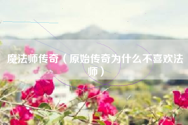 魔法师传奇（原始传奇为什么不喜欢法师）
