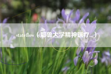 stateflow（耶鲁大学精神医疗...）