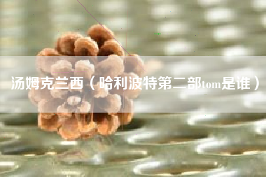 汤姆克兰西（哈利波特第二部tom是谁）