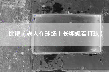 比湿（老人在球场上长期观看打球）
