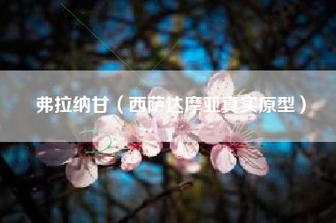 弗拉纳甘（西萨达摩亚真实原型）