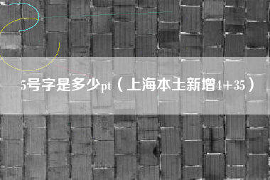 5号字是多少pt（上海本土新增4+35）
