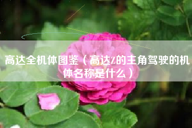 高达全机体图鉴（高达Z的主角驾驶的机体名称是什么）