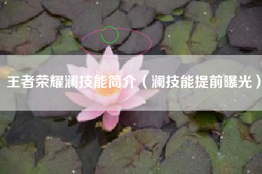 王者荣耀澜技能简介（澜技能提前曝光）
