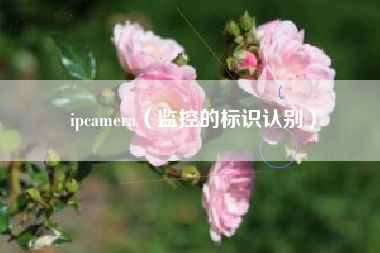 ipcamera（监控的标识认别）