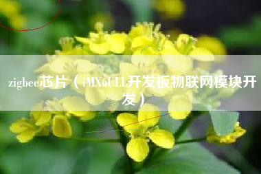 zigbee芯片（iMX6ULL开发板物联网模块开发）