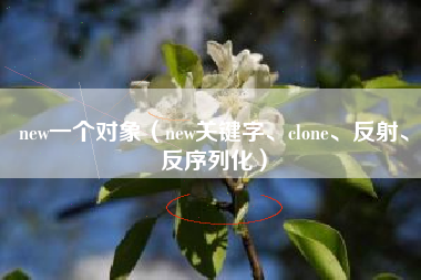 new一个对象（new关键字、clone、反射、反序列化）