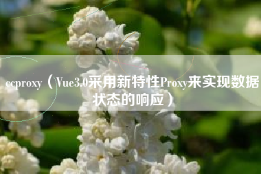 ccproxy（Vue3.0采用新特性Proxy来实现数据状态的响应）