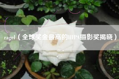 ragel（全球奖金最高的HIPA摄影奖揭晓）