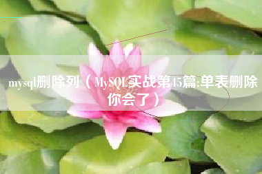 mysql删除列（MySQL实战第45篇:单表删除你会了）
