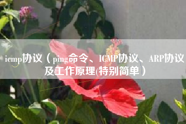 icmp协议（ping命令、ICMP协议、ARP协议及工作原理(特别简单）