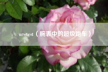 urwtest（腕表中的超级跑车）