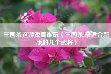 三国杀这游戏真难玩（三国杀:最适合新手的几个武将）