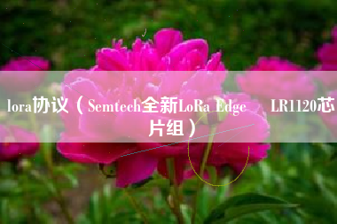 lora协议（Semtech全新LoRa Edge™ LR1120芯片组）