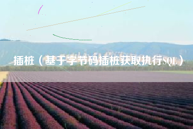 插桩（基于字节码插桩获取执行SQL）