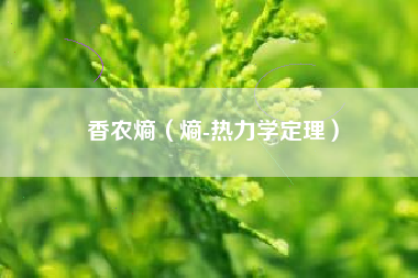 香农熵（熵-热力学定理）