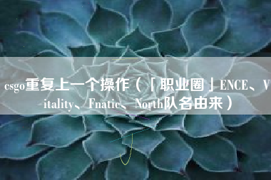 csgo重复上一个操作（「职业圈」ENCE、Vitality、Fnatic、North队名由来）