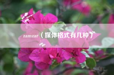 zamzar（媒体格式有几种）